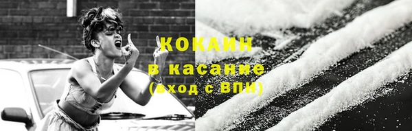 крисы Аркадак