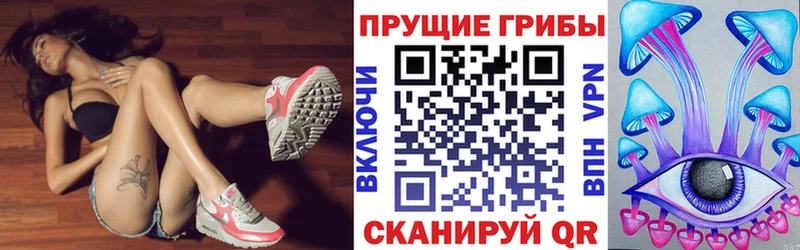 kraken зеркало  Хадыженск  Псилоцибиновые грибы прущие грибы 